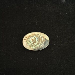 Vintage handcrafted abalone shell brooch EUC
